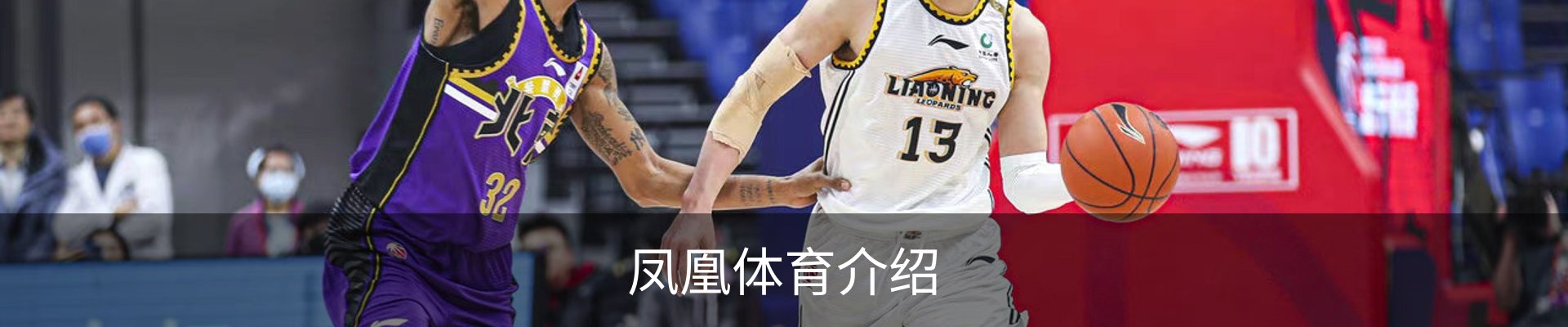 凤凰体育介绍